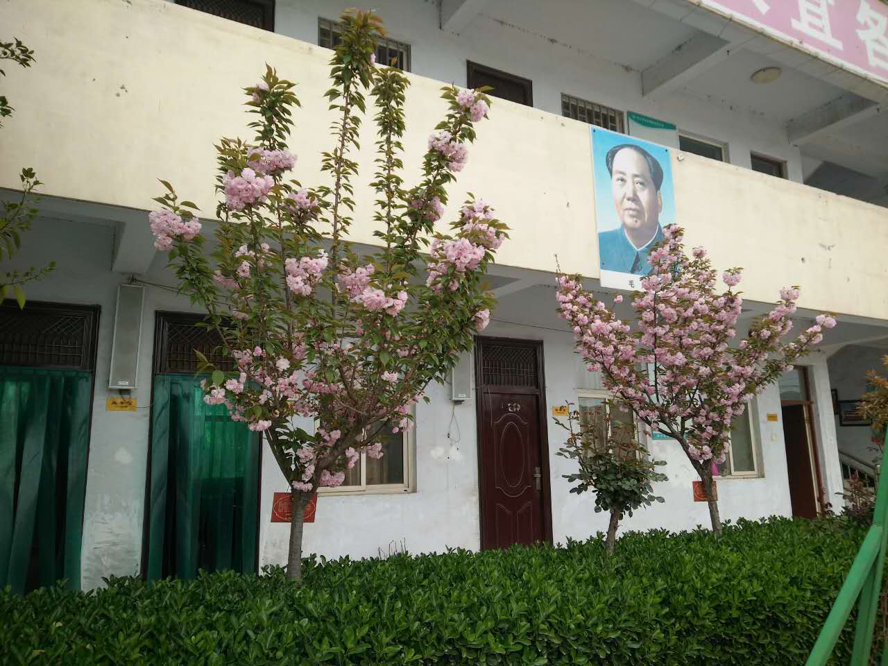 河南鋼模板廠(chǎng)家花海一片