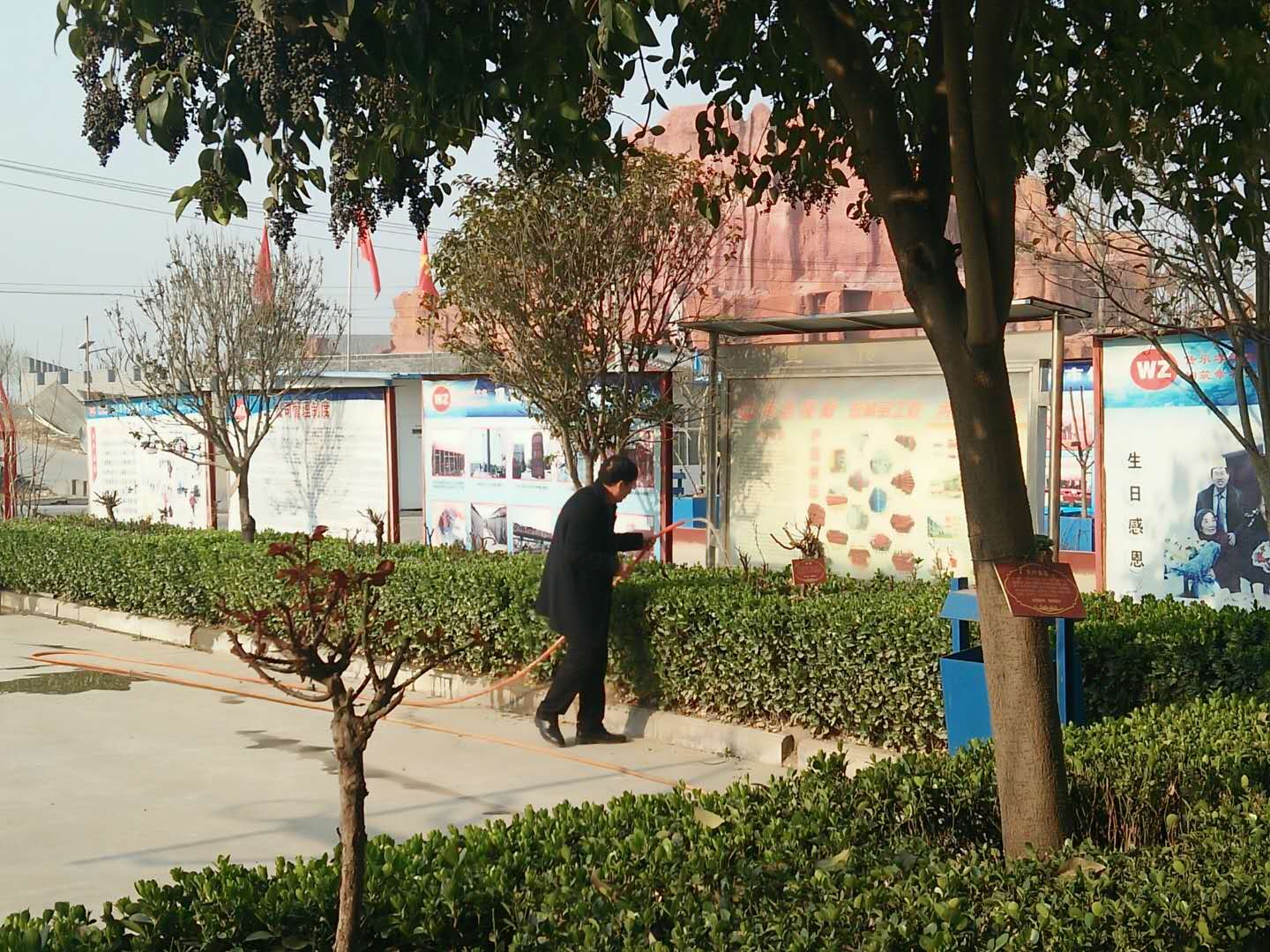 身先力行,偉志模板來(lái)董說(shuō):植樹(shù)就要護(hù)理好